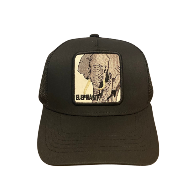 Gorra 5 Panel Malla Curva ELEPHANT