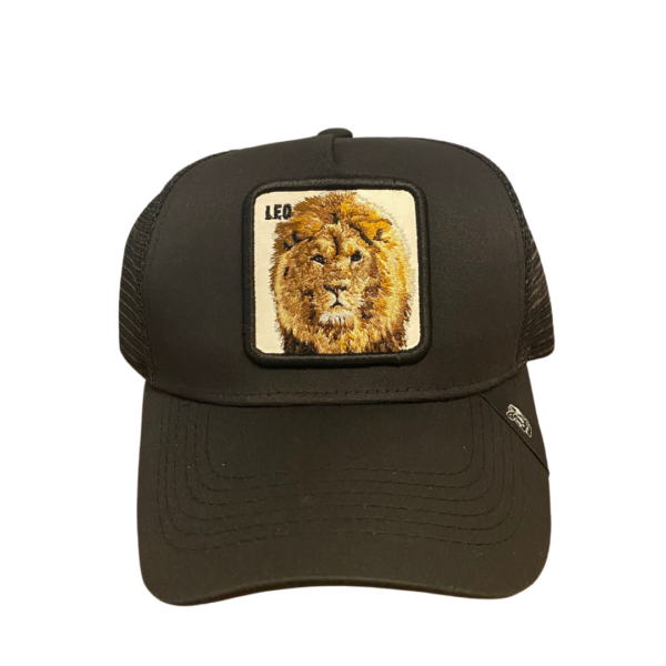 Gorra 5 Panel Malla Curva LEO