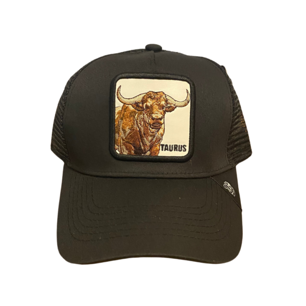 Gorra 5 Panel Malla Curva TAURUS