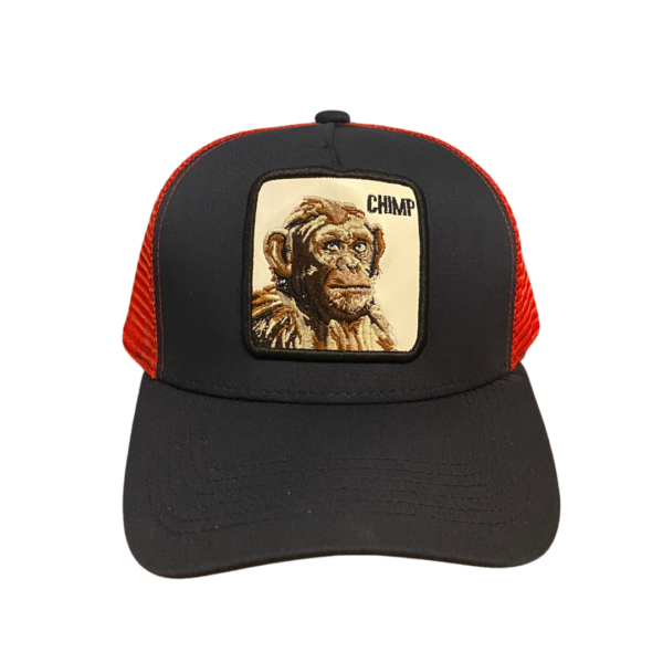 Gorra 5 Panel Malla Curva CHIMP